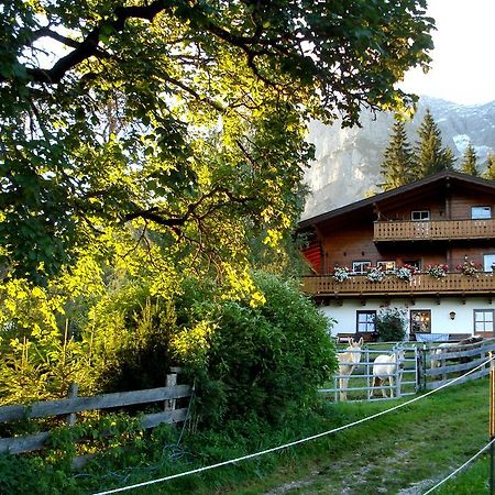 Apartamento Haus Berghild Ramsau am Dachstein Exterior foto